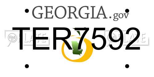 TER7592 Georgia License Plate