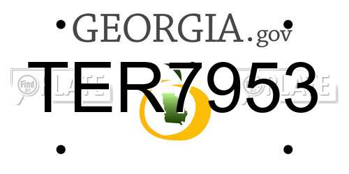 TER7953 Georgia License Plate