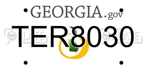 TER8030 Georgia License Plate