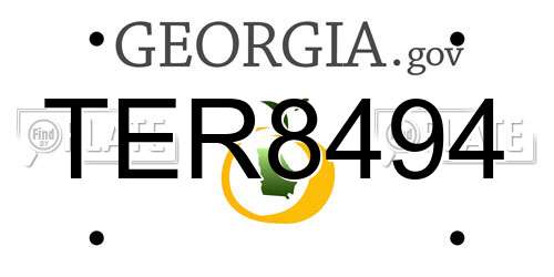 TER8494 Georgia License Plate