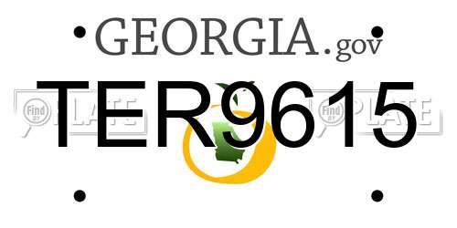 TER9615 Georgia License Plate