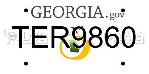 TER9860 Georgia License Plate