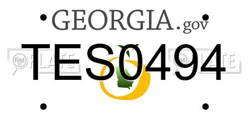 TES0494 Georgia License Plate