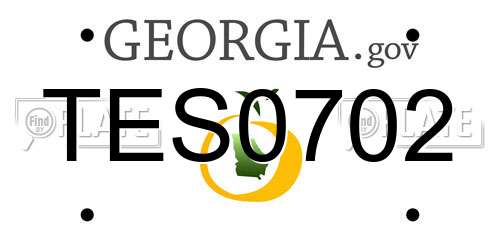 TES0702 Georgia License Plate