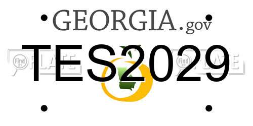 TES2029 Georgia License Plate