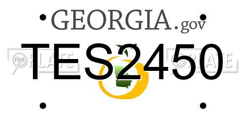 TES2450 Georgia License Plate