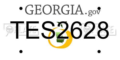 TES2628 Georgia License Plate