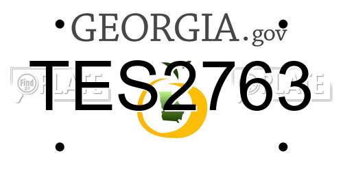 TES2763 Georgia License Plate