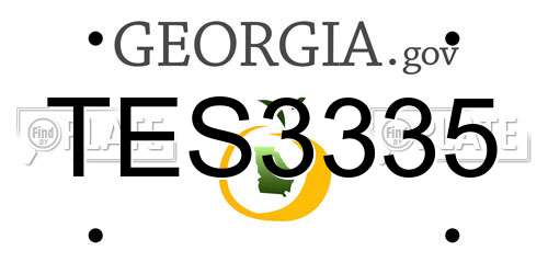 TES3335 Georgia License Plate