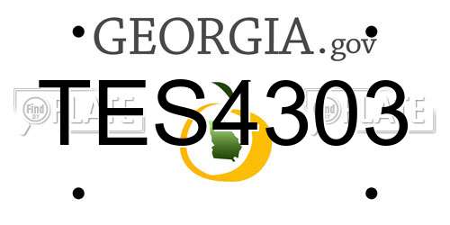 TES4303 Georgia License Plate