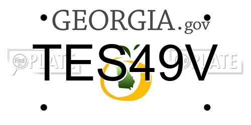 TES49V Georgia License Plate