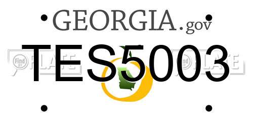 TES5003 Georgia License Plate