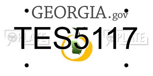 TES5117 Georgia License Plate