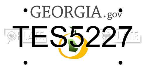 TES5227 Georgia License Plate
