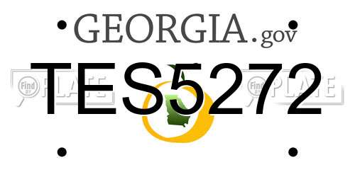 TES5272 Georgia License Plate