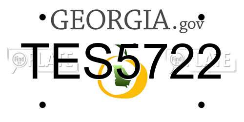 TES5722 Georgia License Plate