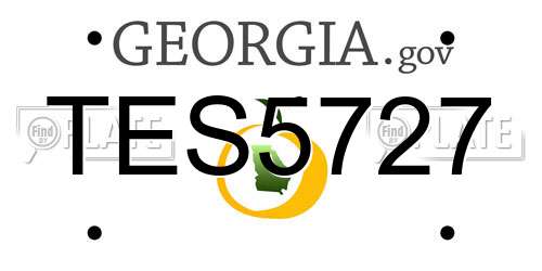 TES5727 Georgia License Plate