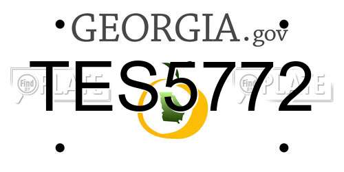 TES5772 Georgia License Plate