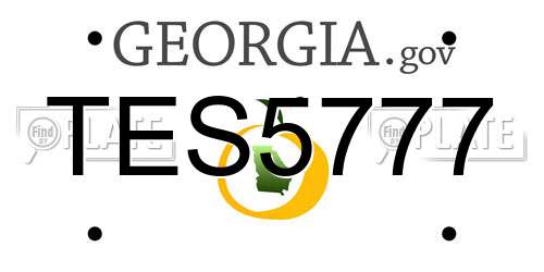 TES5777 Georgia License Plate