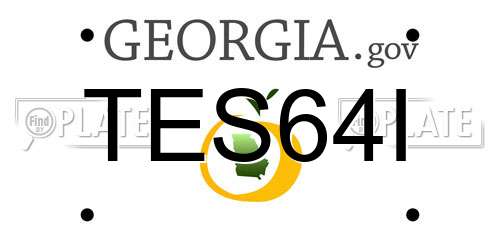 TES64I Georgia License Plate