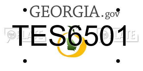 TES6501 Georgia License Plate