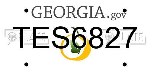 TES6827 Georgia License Plate