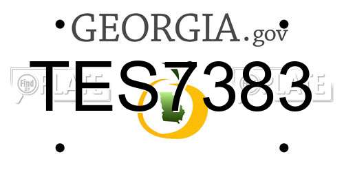 TES7383 Georgia License Plate