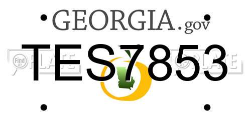 TES7853 Georgia License Plate