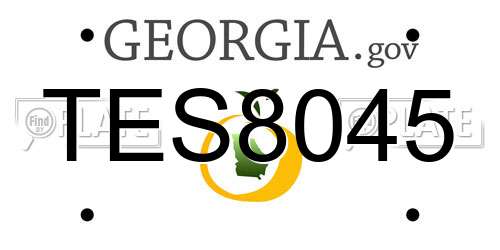 TES8045 Georgia License Plate