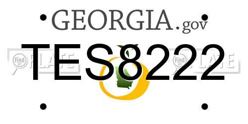 TES8222 Georgia License Plate