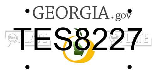 TES8227 Georgia License Plate