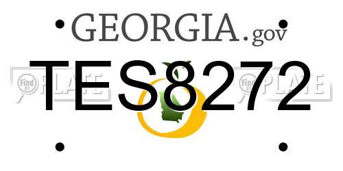 TES8272 Georgia License Plate