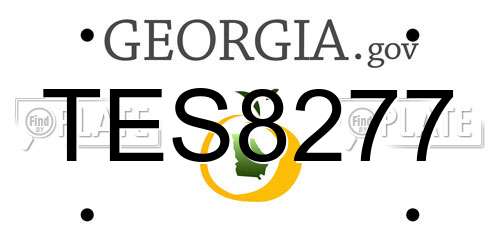 TES8277 Georgia License Plate