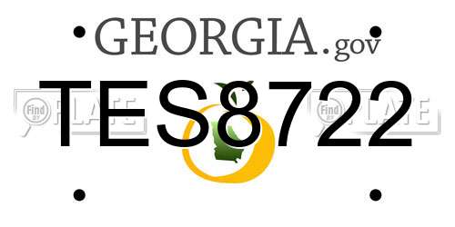 TES8722 Georgia License Plate