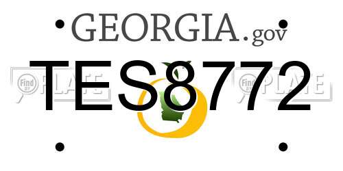 TES8772 Georgia License Plate
