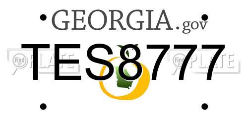 TES8777 Georgia License Plate