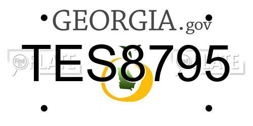 TES8795 Georgia License Plate