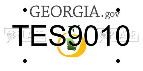 TES9010 Georgia License Plate