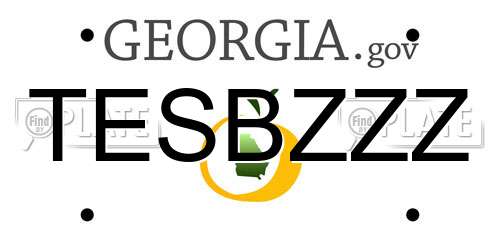 TESBZZZ Georgia License Plate