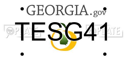 TESG41 Georgia License Plate