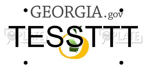 TESSTTT Georgia License Plate