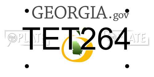 TET264 Georgia License Plate