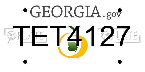 TET4127 Georgia License Plate