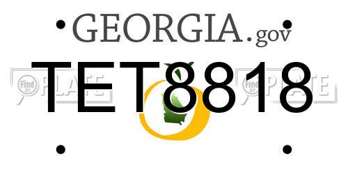 TET8818 Georgia License Plate