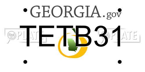 TETB31 Georgia License Plate