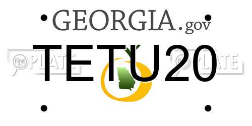 TETU20 Georgia License Plate