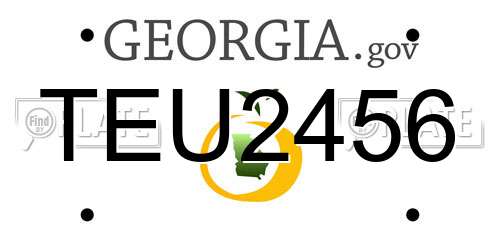 TEU2456 Georgia License Plate