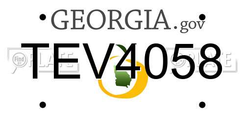 TEV4058 Georgia License Plate