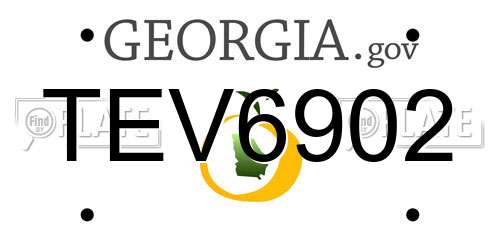 TEV6902 Georgia License Plate