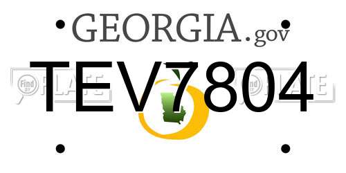TEV7804 Georgia License Plate
